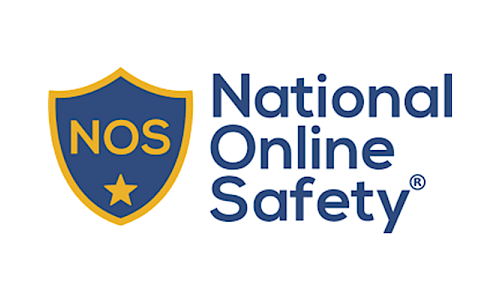 national online safety